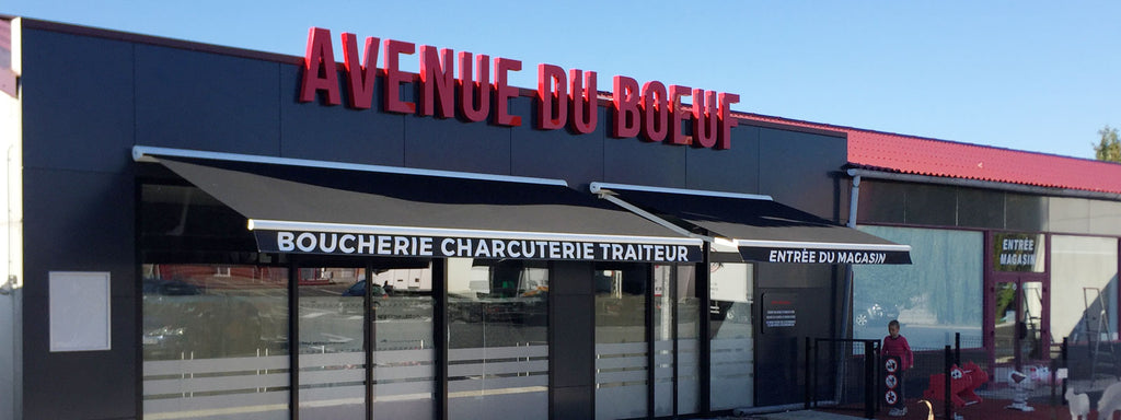 Store banne motorisé